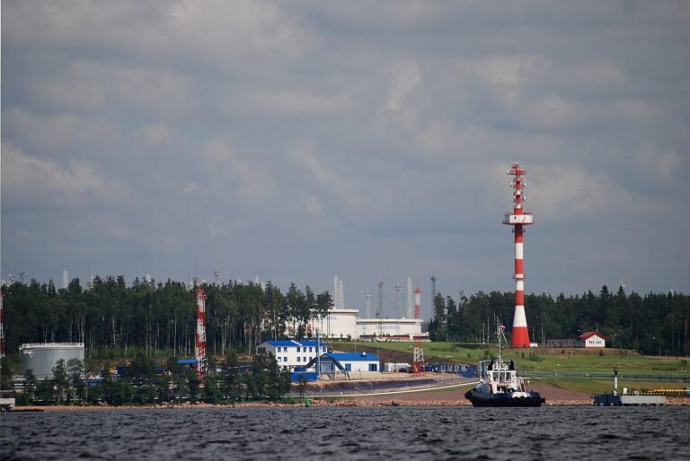 Bulk oil port with tanker ships and loading infrastructure